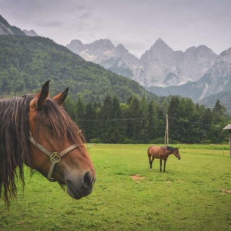 Klass 210 Kranjska Gora Buitenkant foto