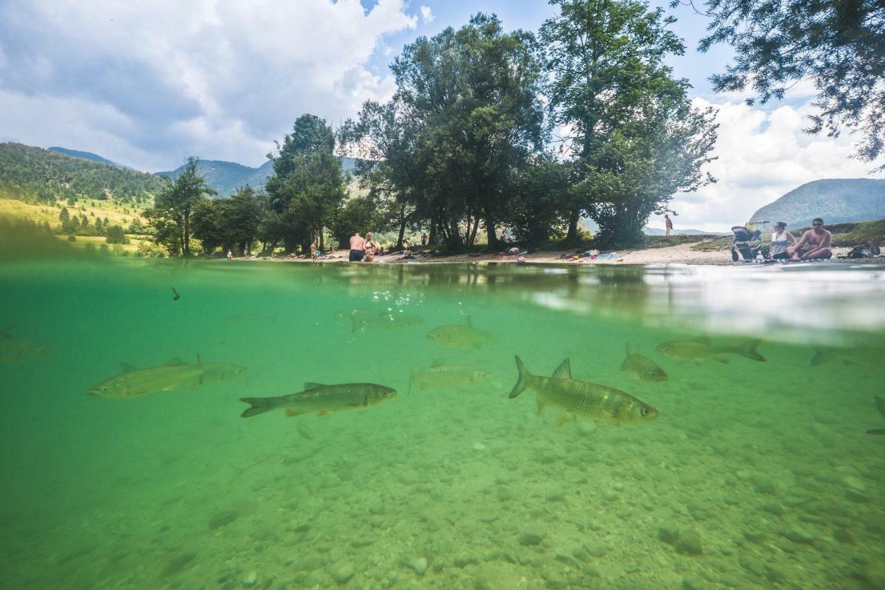 Klass 210 Kranjska Gora Buitenkant foto